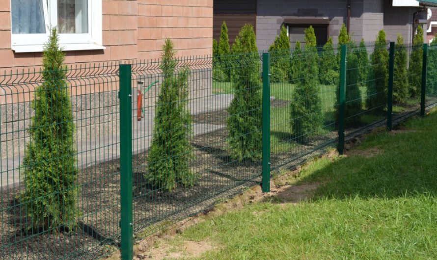 Забор сетка: идеальное решение для безопасности и эстетики вашего участка