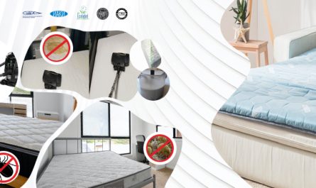 Химчистка матрасов на дому от Eco-Hyla: чистота и свежесть без лишних хлопот